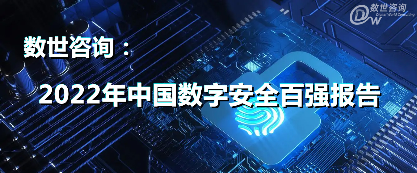 2022年中国数字安全百强报告
