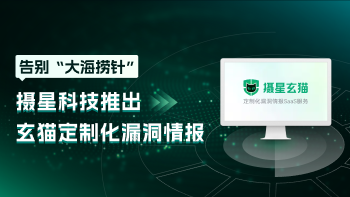 告别“大海捞针” 摄星科技推出玄猫定制化漏洞情报