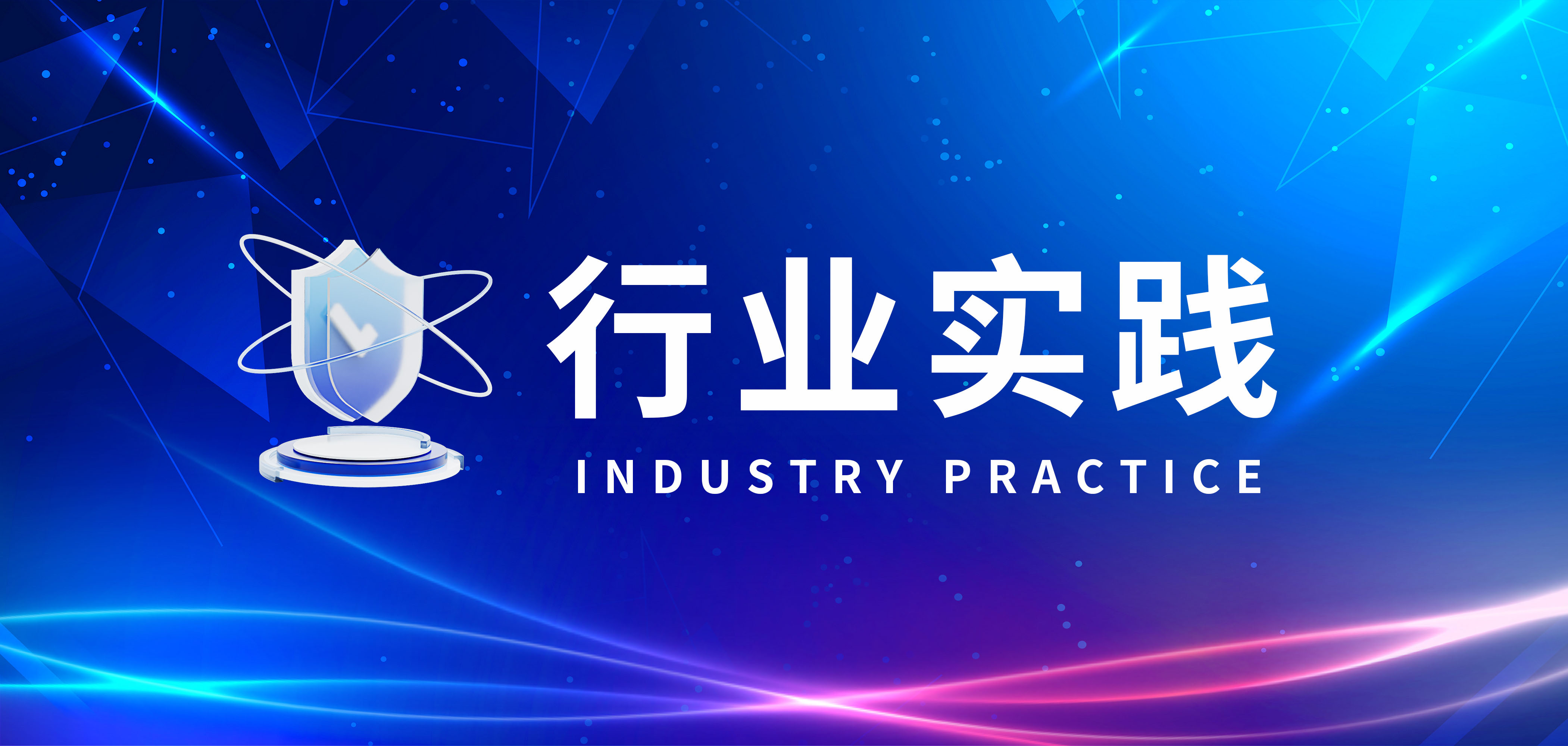行业实践｜电力行业数字化转型，应用风险漏洞谁来防？