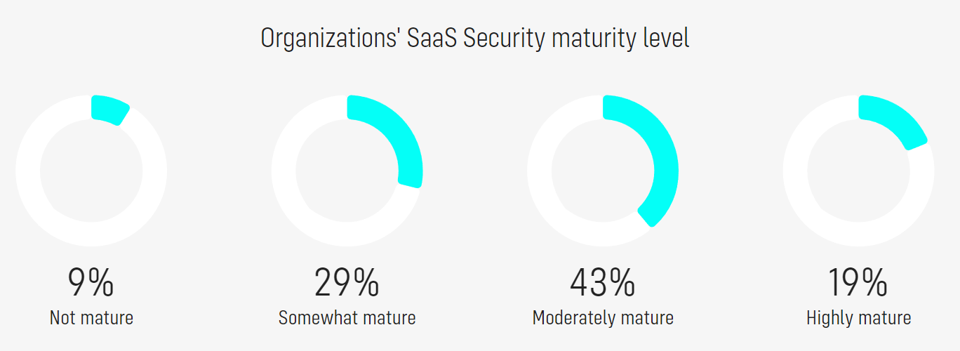 SaaS04.png