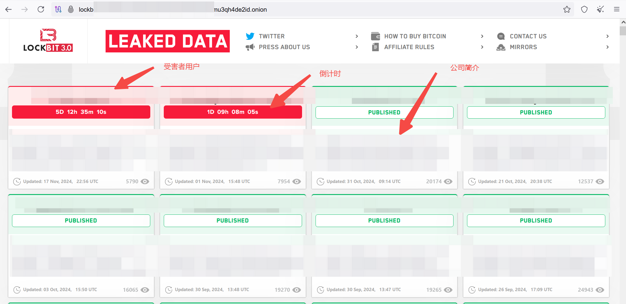 1762147075261876.png b1d77d97-fcf5-4ced-8882-bf9df4c3b543.png