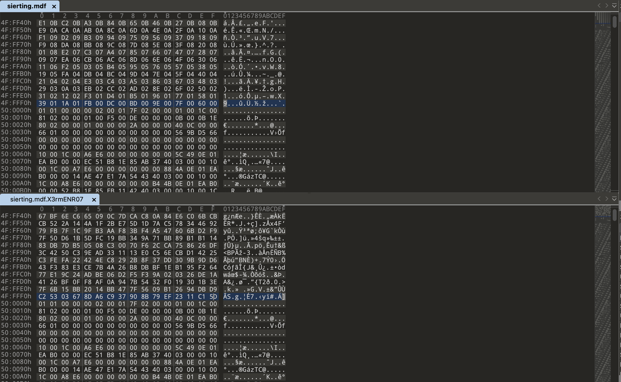 1762147206504096.png 784d1f41-adbd-479d-9dd1-7861d65c5805.png